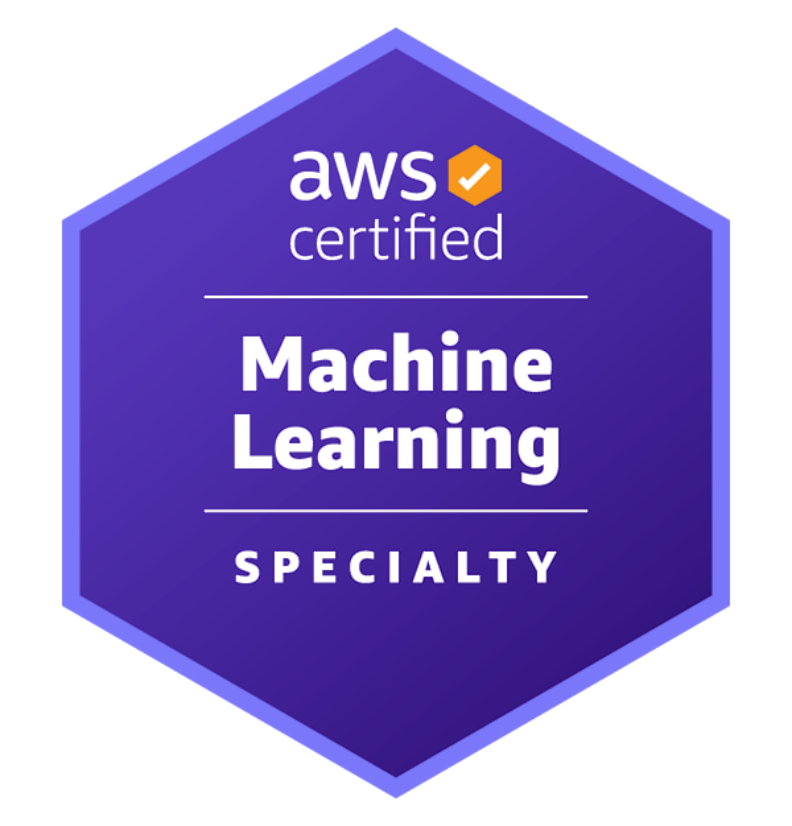 AWS Certified Solutions Architect – Professional